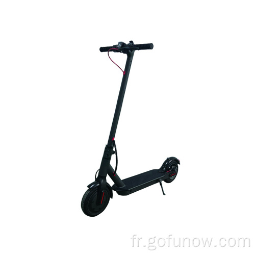 Gofunow puissants scooters électriques hors route pour le plaisir